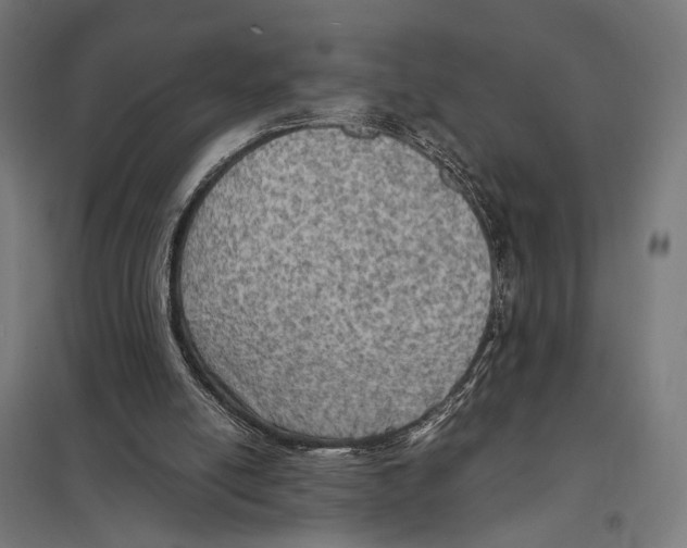 X0000097600054200803281000