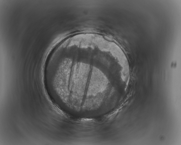 X0000097600055200803281001