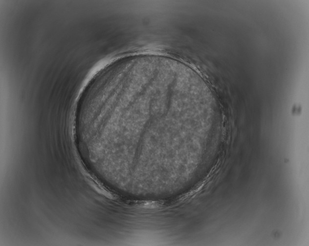 X0000097600056200803281001