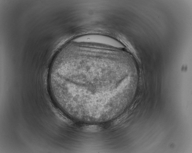 X0000097600058200803281001