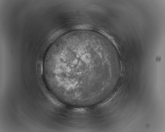 X0000097600061200803281001