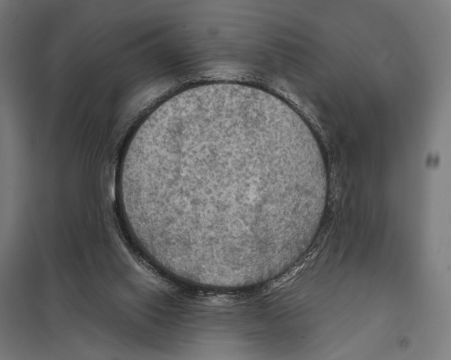 X0000097600062200803281001