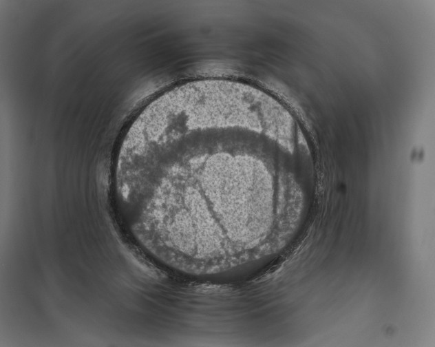 X0000097600063200803281001