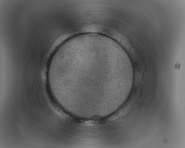 X0000097600064200803281001