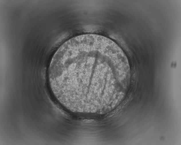 X0000097600066200803281001