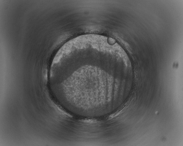 X0000097600067200803281001