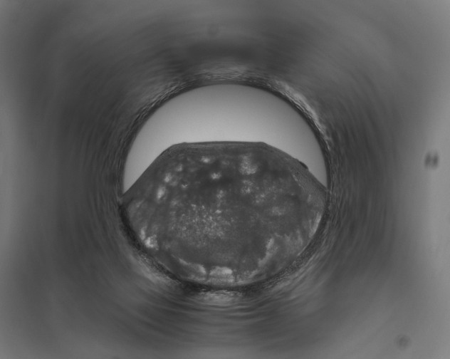 X0000097600069200803281001