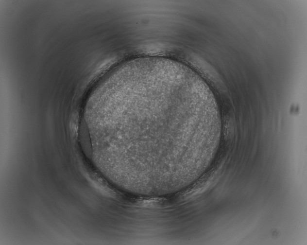 X0000097600072200803281001