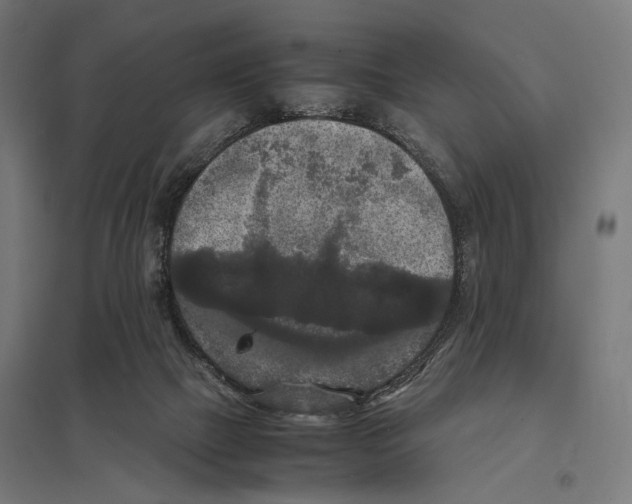 X0000097600073200803281001