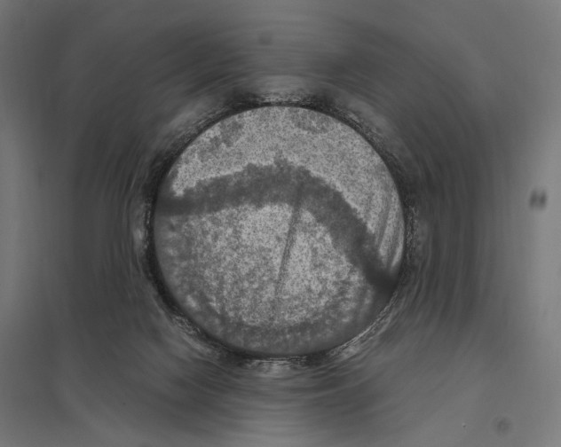 X0000097600074200803281001