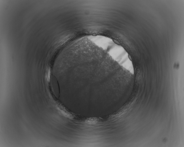 X0000097600076200803281001