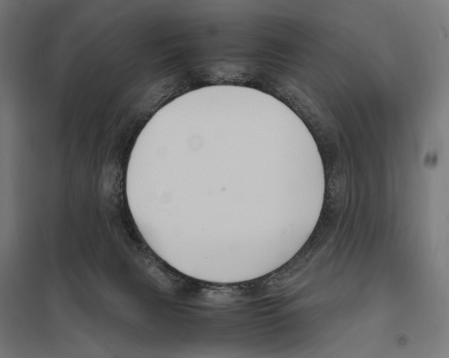 X0000097600079200803281001