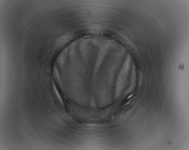 X0000097600080200803281001