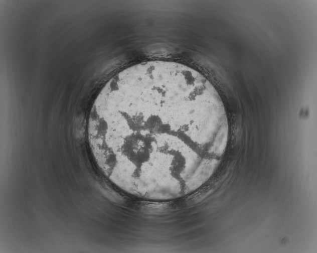 X0000097600081200803281001