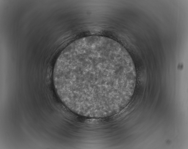 X0000097600082200803281001