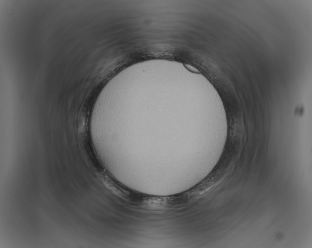 X0000097600084200803281001