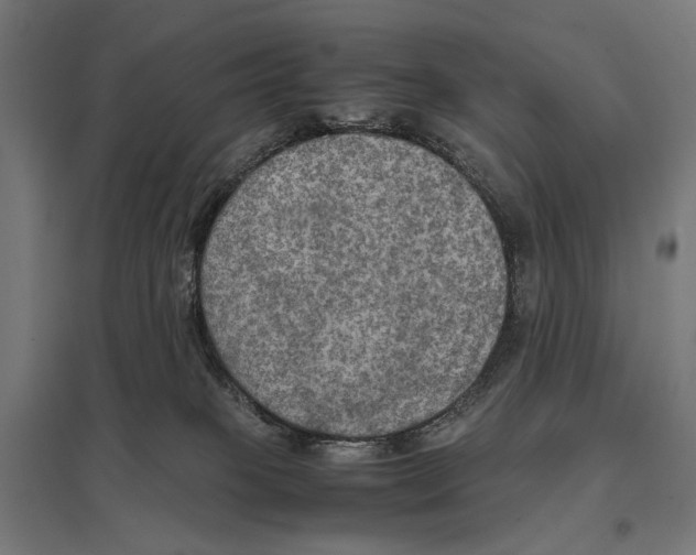 X0000097600085200803281001