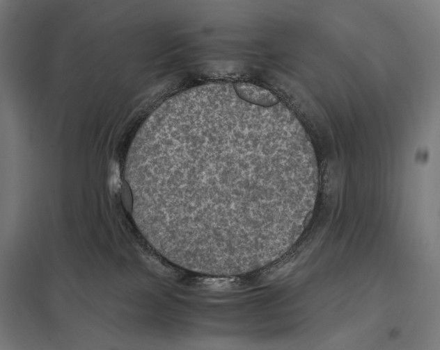 X0000097600089200803281001