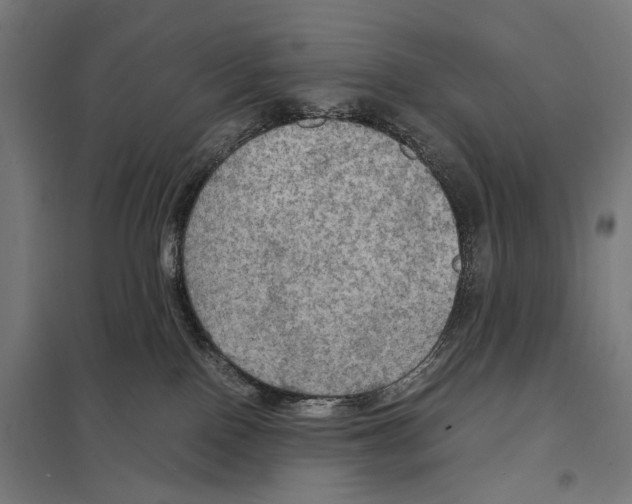 X0000097600090200803281001