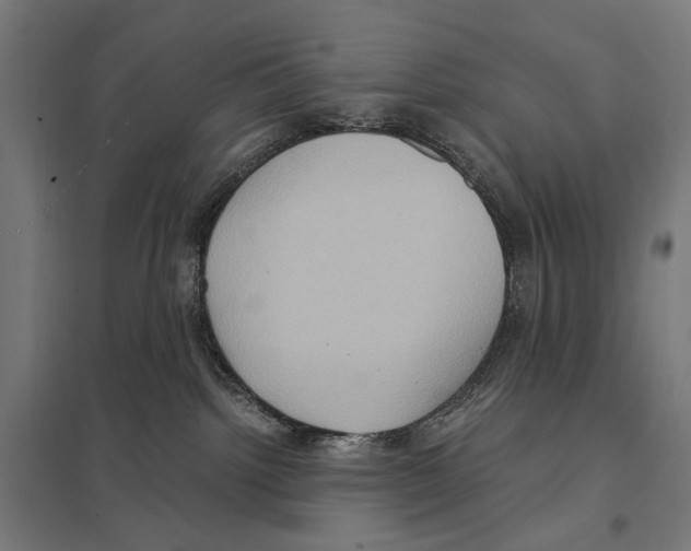 X0000097600092200803281001