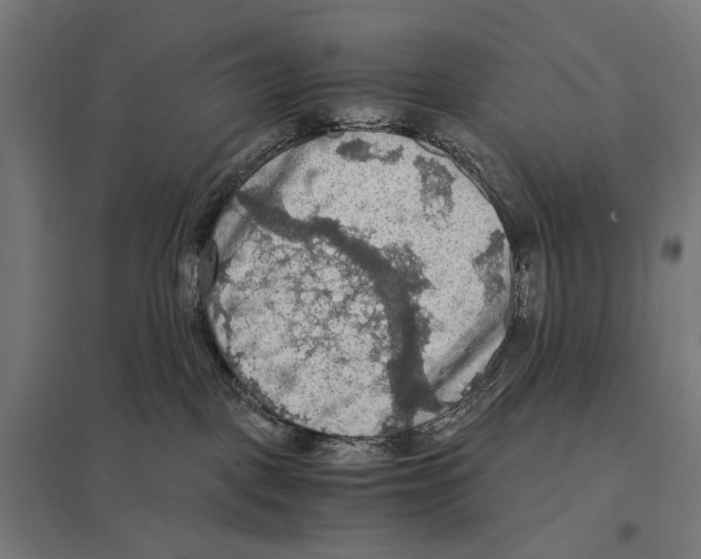 X0000097600093200803281001