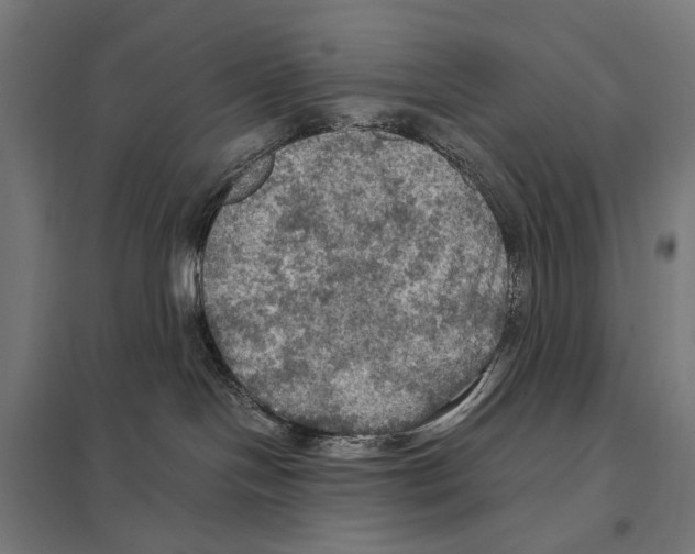 X0000097600094200803281001