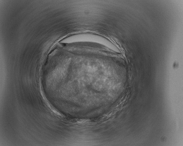 X0000097600097200803281000