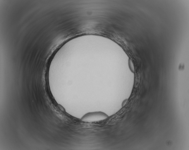 X0000097600098200803281000