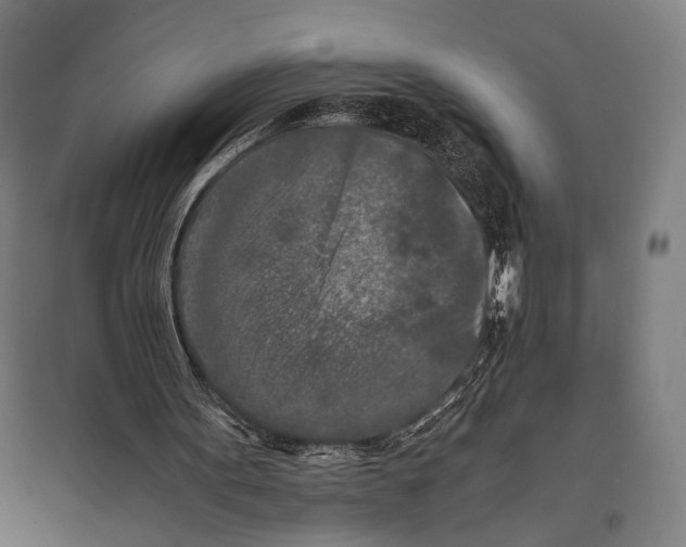 X0000097600099200803281000