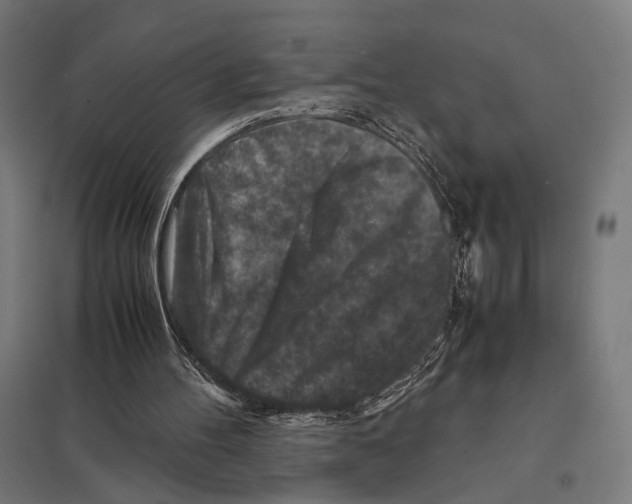 X0000097600100200803281000