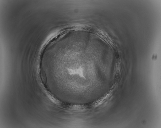 X0000097600101200803281000