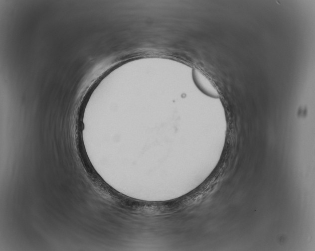 X0000097600103200803281000