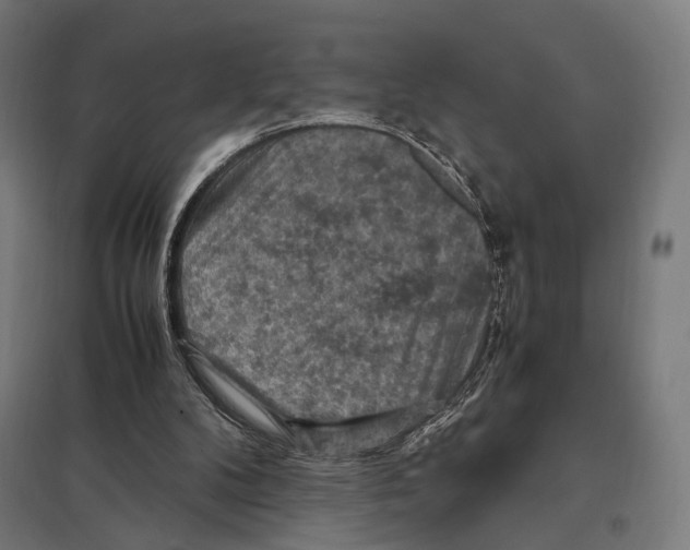 X0000097600104200803281000