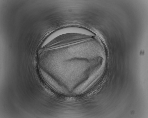 X0000097600105200803281000