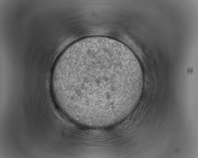 X0000097600107200803281000