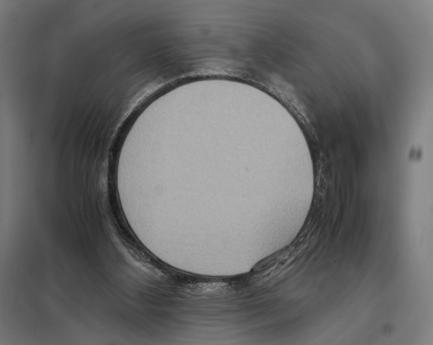 X0000097600108200803281000