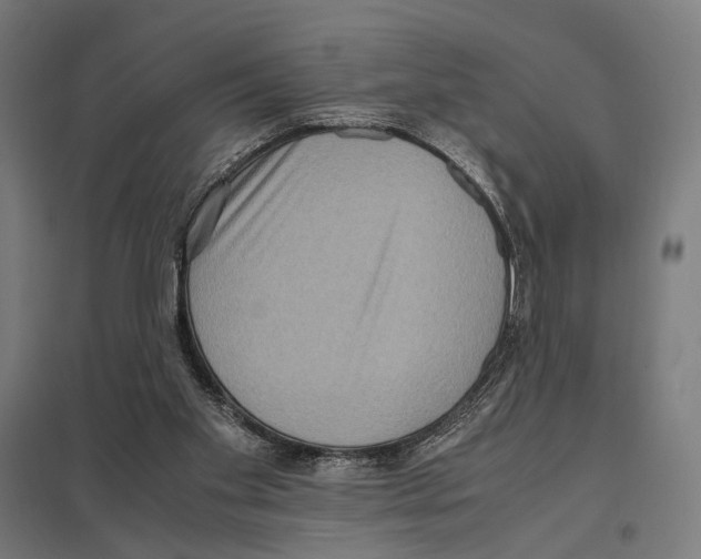 X0000097600109200803281000