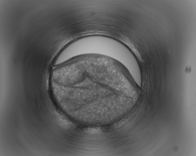 X0000097600110200803281000