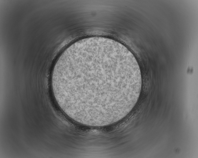 X0000097600111200803281000