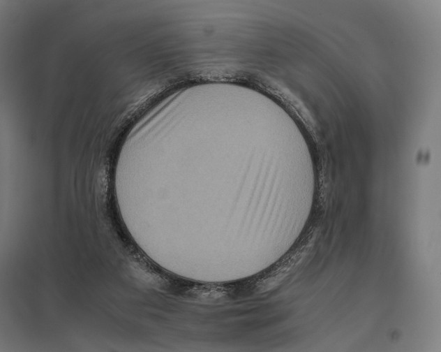 X0000097600113200803281000