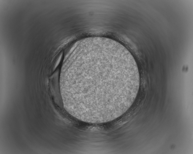 X0000097600115200803281000