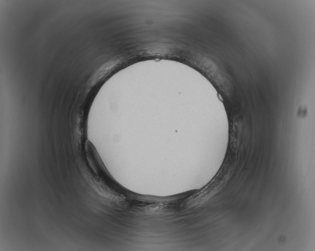 X0000097600116200803281000