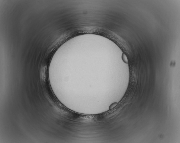 X0000097600118200803281000