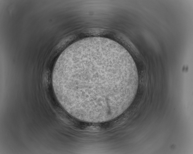 X0000097600119200803281000