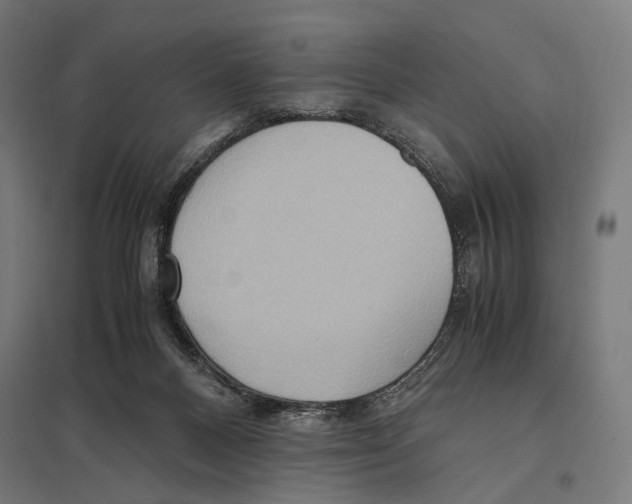 X0000097600120200803281000