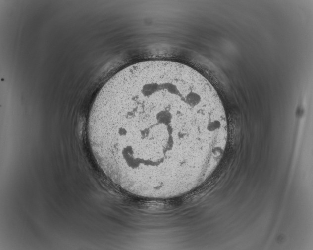 X0000097600123200803281000