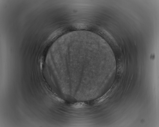 X0000097600124200803281000