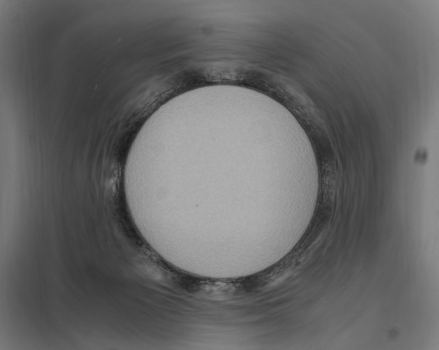 X0000097600125200803281000