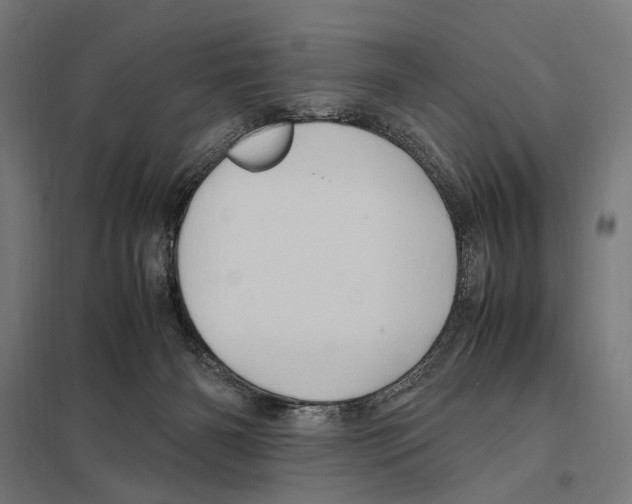 X0000097600126200803281000