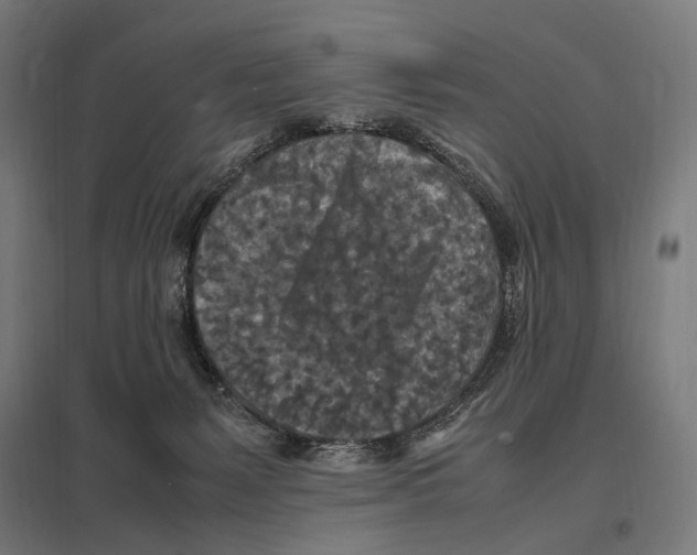 X0000097600127200803281000